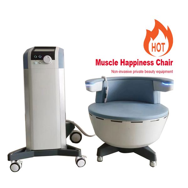 professional massager ems muscle stimulator face machine ems slimming machine ems estimulador muscular profesional
professional massager ems muscle stimulator face machine ems slimming machine ems estimulador muscular profesional