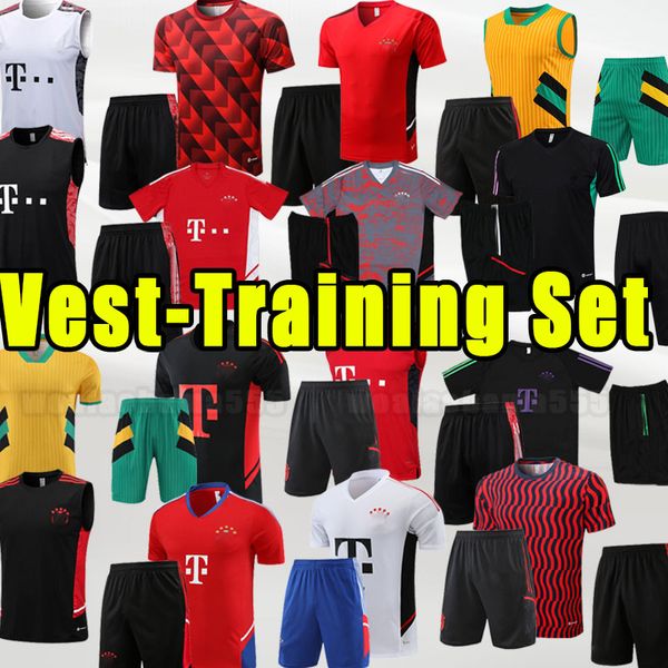 mane 2023 2024 bayern soccer tracksuits upamecano pavard munich goretzka neuer muller lewandowski sane kimmich 23 24 football shirt vest pol, Black
mane 2023 2024 bayern soccer tracksuits upamecano pavard munich goretzka neuer muller lewandowski sane kimmich 23 24 football shirt vest pol, Black