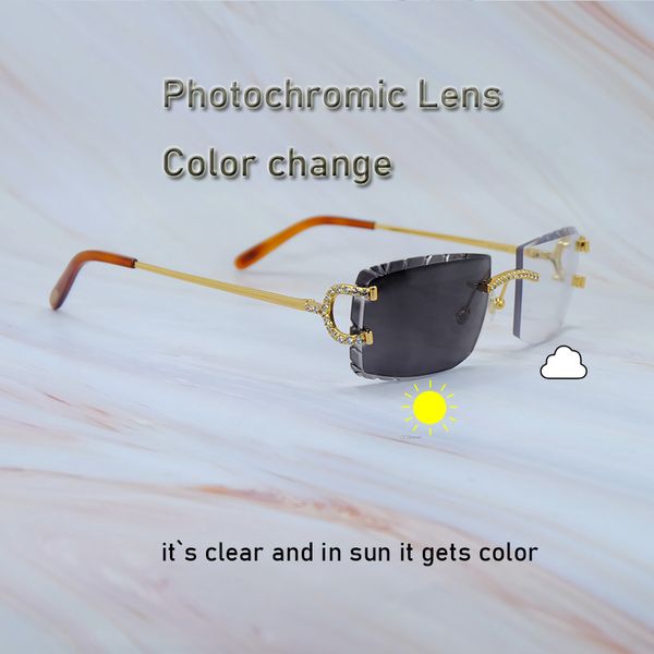 iced out sunglasses pchromic lens color change two colors lenses 4 season glasses interchangble luxury rhinestones carter eyewear gafas de s, Black
iced out sunglasses pchromic lens color change two colors lenses 4 season glasses interchangble luxury rhinestones carter eyewear gafas de s, Black