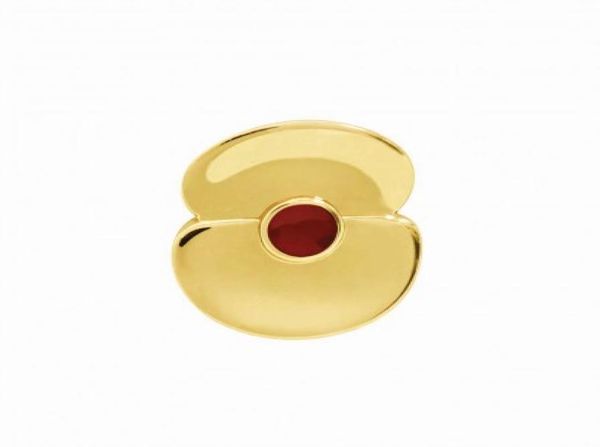 35 inch gold plated somme 100 poppy lapel pin brooch gold tone century badge3701827, Gray
35 inch gold plated somme 100 poppy lapel pin brooch gold tone century badge3701827, Gray