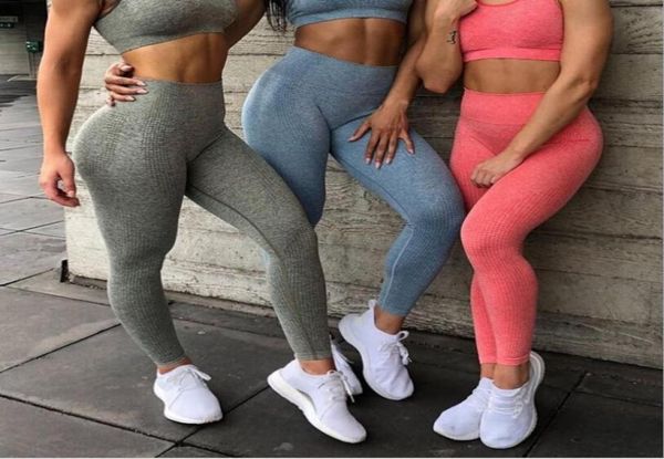 10 colours women039s seamless fitness leggings female high waist running sports leggings sportswear gym yoga sport pants clothi2278635, Black
10 colours women039s seamless fitness leggings female high waist running sports leggings sportswear gym yoga sport pants clothi2278635, Black