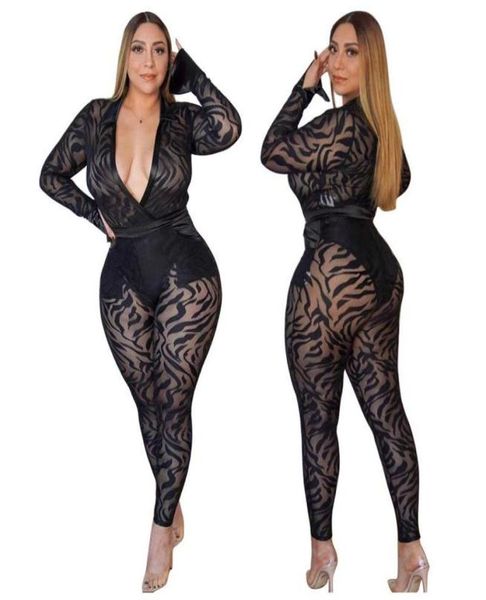 l4xl plus size two piece set women club mesh hollow out striped and pants outfits for black 2 sets h215 women039s1942753, White
l4xl plus size two piece set women club mesh hollow out striped and pants outfits for black 2 sets h215 women039s1942753, White