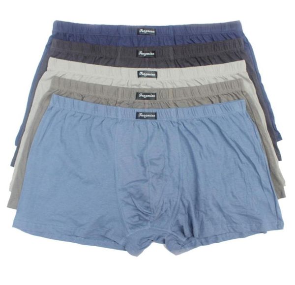 5pcslot men boxers 5xl cotton underwear men cotton boxers men boxer plus size panties shorts oversized short pants underwears y2008606254, Black;white
5pcslot men boxers 5xl cotton underwear men cotton boxers men boxer plus size panties shorts oversized short pants underwears y2008606254, Black;white