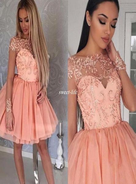 blush pink short party dresses sheer lace short sleeve 2020 8th college junior homecoming dress for cocktail prom gowns3420423, Black
blush pink short party dresses sheer lace short sleeve 2020 8th college junior homecoming dress for cocktail prom gowns3420423, Black