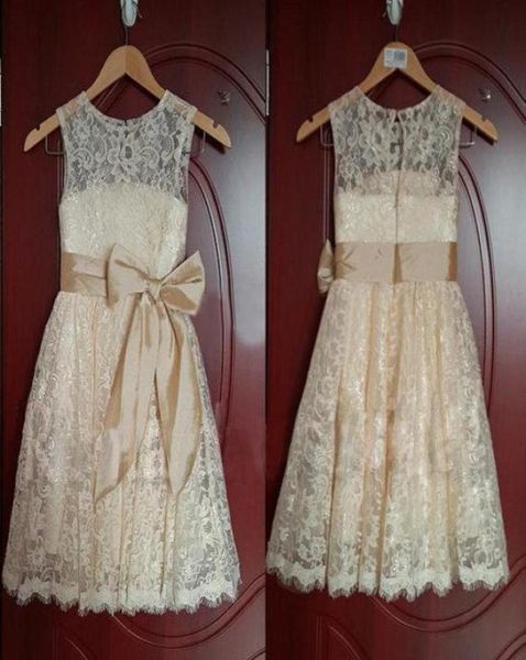 lace flower girls039 dresses jewel neck hollow back bow sash champagne little girls039 birthday party gown custom made g187471459849981, White;blue
lace flower girls039 dresses jewel neck hollow back bow sash champagne little girls039 birthday party gown custom made g187471459849981, White;blue