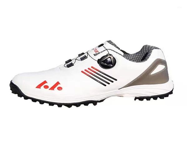 running jerseys men professional golf shoes waterproof spikes sneakers black white trainers big size quick lacing335m2300043, Black;blue
running jerseys men professional golf shoes waterproof spikes sneakers black white trainers big size quick lacing335m2300043, Black;blue