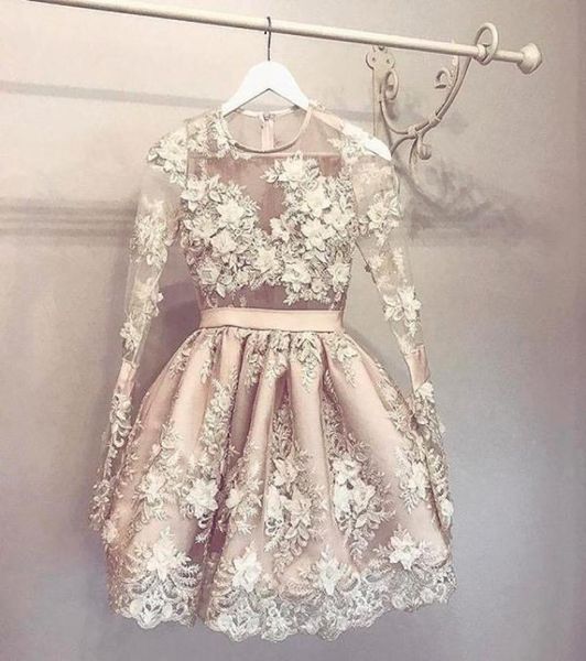 stunning 3d appliques homecoming dresses with long sleeves sheer jewel neck short prom gowns mini tulle formal cocktail dres6318200, Blue;pink
stunning 3d appliques homecoming dresses with long sleeves sheer jewel neck short prom gowns mini tulle formal cocktail dres6318200, Blue;pink