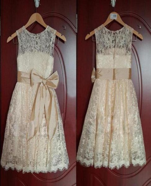 lace flower girls039 dresses jewel neck hollow back bow sash champagne little girls039 birthday party gown custom made g187471455396943, White;blue
lace flower girls039 dresses jewel neck hollow back bow sash champagne little girls039 birthday party gown custom made g187471455396943, White;blue