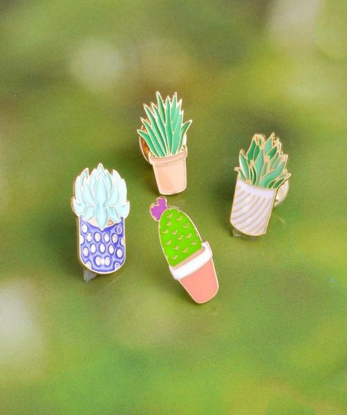 cactus spider plant variety potted special combination decoration enamel creative brooches jewel gift to girl pins4183159, Gray
cactus spider plant variety potted special combination decoration enamel creative brooches jewel gift to girl pins4183159, Gray