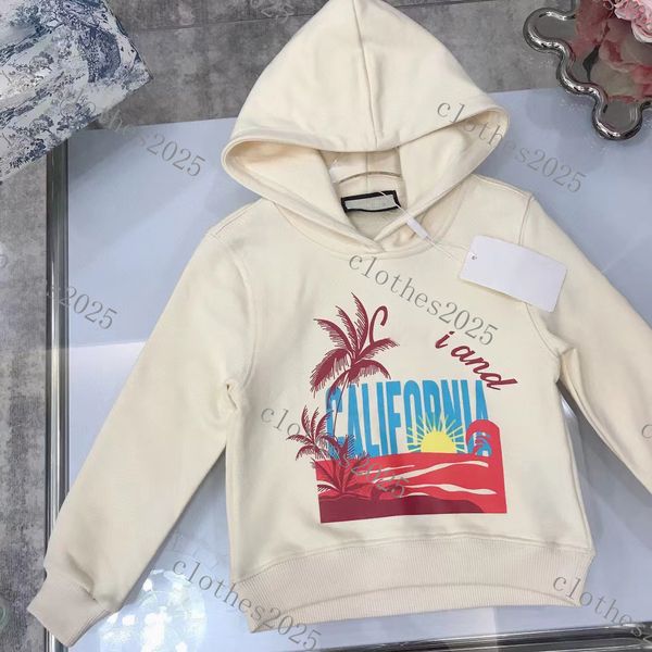 23 kids hoodie sweater t-shirts tees letter cute casual tee boy baby teen clothes autumn long sleeve girl multicolor children clothing shor, Black
23 kids hoodie sweater t-shirts tees letter cute casual tee boy baby teen clothes autumn long sleeve girl multicolor children clothing shor, Black