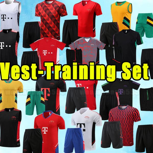 23 24 bayern munich soccer tracksuits de ligt sane 2023 2024 football shirt goretzka gnabry camisa de futebol kimmich men vest training set, Black
23 24 bayern munich soccer tracksuits de ligt sane 2023 2024 football shirt goretzka gnabry camisa de futebol kimmich men vest training set, Black