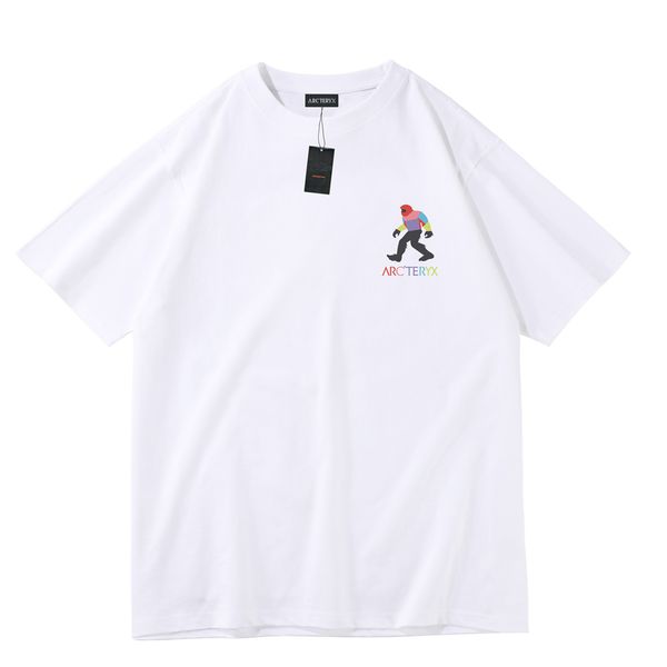 new arc'teryx t shirt simple letter logo loose short sleeved white black green arcteryx bird t-shirt dt009
new arc'teryx t shirt simple letter logo loose short sleeved white black green arcteryx bird t-shirt dt009