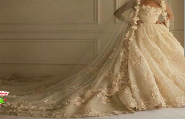 ivory three meters bridal veils tulle hem lace appliques wedding veil 2021 new arrival modern chic w8928067, Black
ivory three meters bridal veils tulle hem lace appliques wedding veil 2021 new arrival modern chic w8928067, Black
