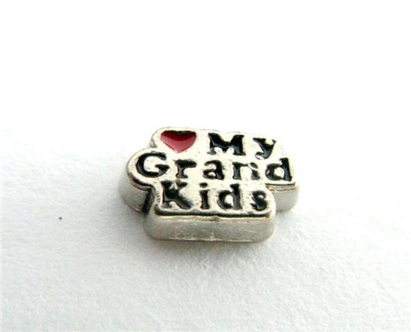 new design fc950 floating locket charms 10pcs i love grand kids floating living locket as gift wholes 6683215, Blue;slivery
new design fc950 floating locket charms 10pcs i love grand kids floating living locket as gift wholes 6683215, Blue;slivery