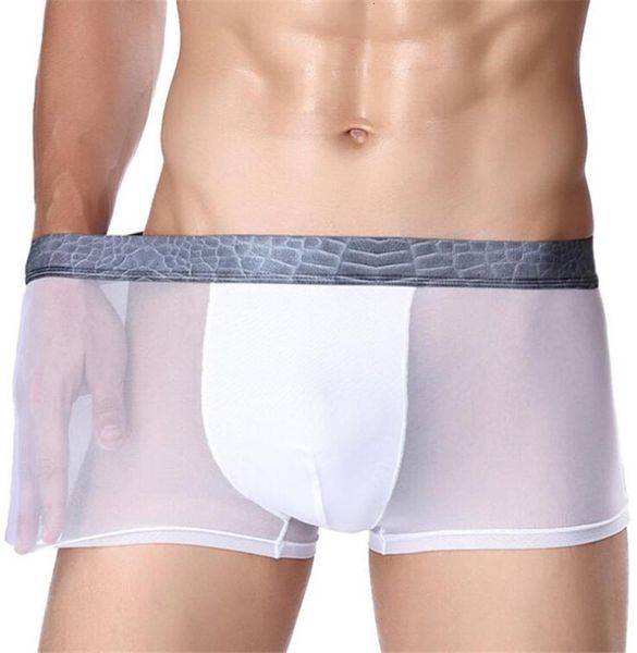 fashion underwear shorts summer ice silk thin male boxer men039s underpants for man panties transparent breathable cue7502074, Black;white
fashion underwear shorts summer ice silk thin male boxer men039s underpants for man panties transparent breathable cue7502074, Black;white