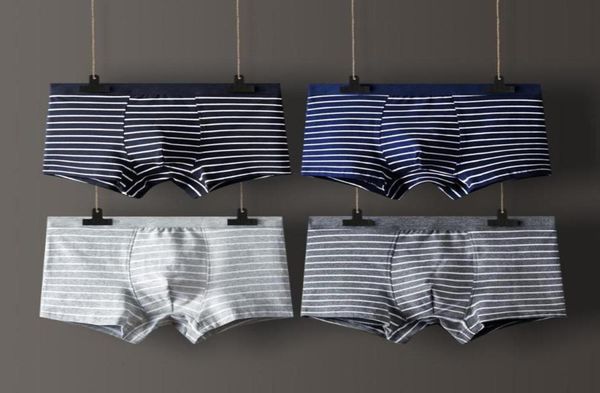 underpants 4 pcs striped men underwear cotton large size panties boxer male solid men039s shorts breathable l3xl3270758, Black;white
underpants 4 pcs striped men underwear cotton large size panties boxer male solid men039s shorts breathable l3xl3270758, Black;white