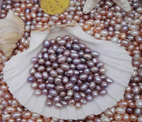 natural freshwater pearls oyster no hole 67mm bright riceshaped loose pearls real pearl different color fashion jewelry wholesal7112050, White
natural freshwater pearls oyster no hole 67mm bright riceshaped loose pearls real pearl different color fashion jewelry wholesal7112050, White