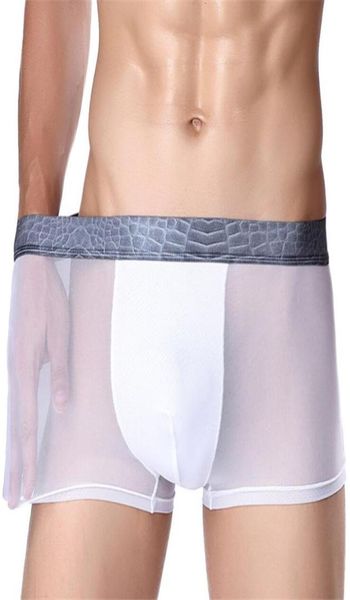 fashion underwear shorts summer ice silk thin male boxer men039s underpants for man panties transparent breathable cue3119237, Black;white
fashion underwear shorts summer ice silk thin male boxer men039s underpants for man panties transparent breathable cue3119237, Black;white