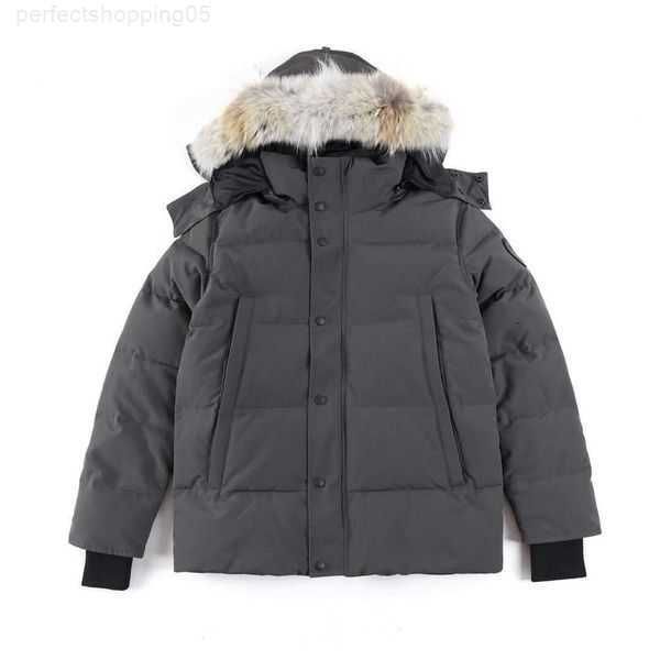 designer men's down jacket women's canadian gooses parkers winter hooded thick warm coats femalerdtj, Black
designer men's down jacket women's canadian gooses parkers winter hooded thick warm coats femalerdtj, Black