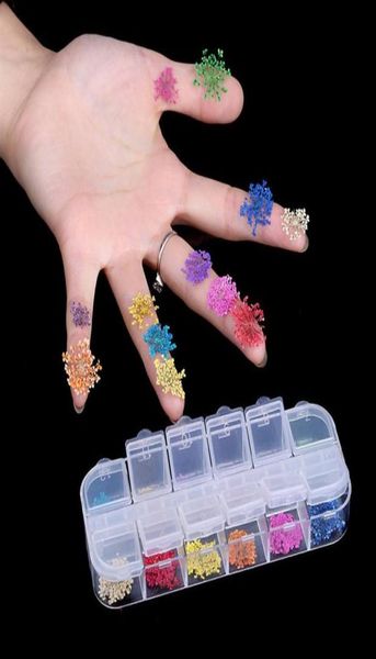 12 colors real dry dried flowers nail art decoration for uv gel nails sticker for nail design diy manicure styling nail art tools26942498, Black
12 colors real dry dried flowers nail art decoration for uv gel nails sticker for nail design diy manicure styling nail art tools26942498, Black