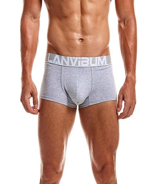 underpants men underwear 92 cotton boxer breif male sport panties breathable soft lingerie man comfy trunks5216859, Black;white
underpants men underwear 92 cotton boxer breif male sport panties breathable soft lingerie man comfy trunks5216859, Black;white