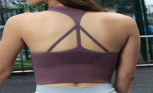 lantech yoga bra sportswear joggings running with pads training crop vest women fitness gym sports bra energy seamless1841934, White;black
lantech yoga bra sportswear joggings running with pads training crop vest women fitness gym sports bra energy seamless1841934, White;black