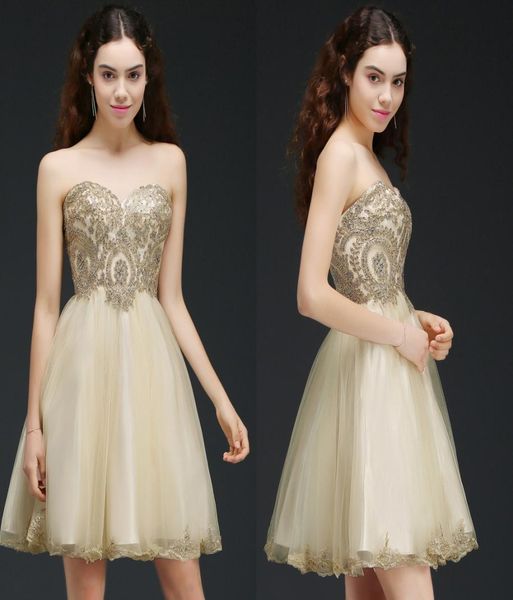 2018 new lace beaded short a line homecoming dresses champagne sweetheart lace up cocktail party gowns mini prom dresses cps6194368, Blue;pink
2018 new lace beaded short a line homecoming dresses champagne sweetheart lace up cocktail party gowns mini prom dresses cps6194368, Blue;pink