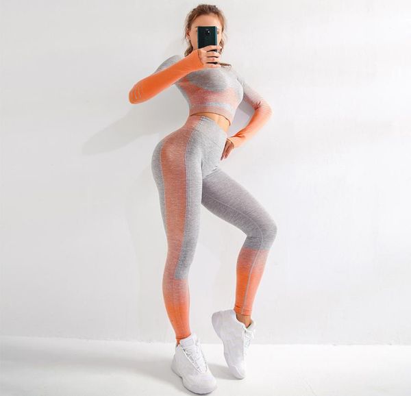 women seamless yoga sets fitness sports suits gym wear long sleeve shirts high waist running leggings workout pants shirtszf2888305656, White;red
women seamless yoga sets fitness sports suits gym wear long sleeve shirts high waist running leggings workout pants shirtszf2888305656, White;red