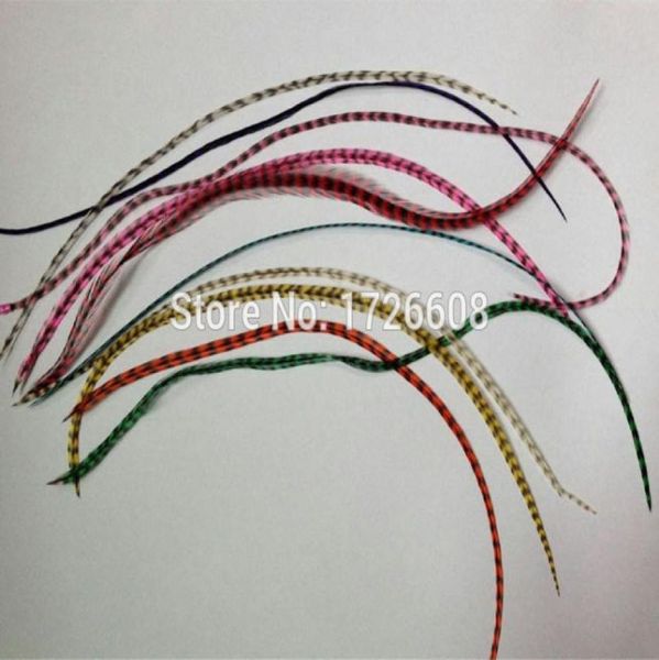 10pcslot 1535cm natural colors hair feathers 100 real grizzly thin rooster individual feather hair extensions3445583
10pcslot 1535cm natural colors hair feathers 100 real grizzly thin rooster individual feather hair extensions3445583