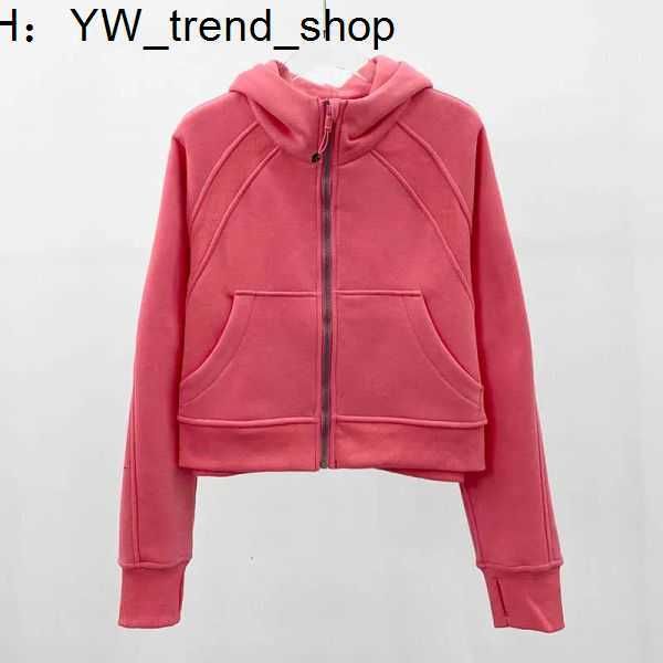 lulus women brushed full zip hoodie jacket sportswear lu-98 yoga outfits workout track running coat with pockets outdoor fleeces thum 2 lulu, Black
lulus women brushed full zip hoodie jacket sportswear lu-98 yoga outfits workout track running coat with pockets outdoor fleeces thum 2 lulu, Black