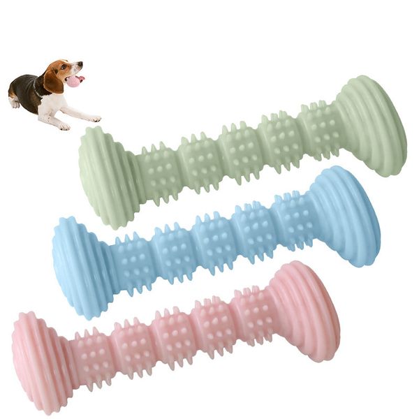 the new tpr teeth-resistant interactive dog toy pet toy dog chew chew chew stick dog toothbrush chew toy 2 pieces per piece
the new tpr teeth-resistant interactive dog toy pet toy dog chew chew chew stick dog toothbrush chew toy 2 pieces per piece