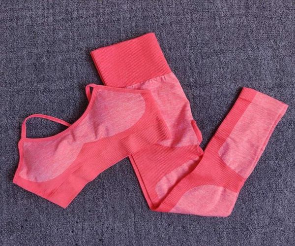 10sets whole bulk seamless yoga set fitness clothing sportswear women gym leggings tights sports bra 2pcs sports suits39775649448322
10sets whole bulk seamless yoga set fitness clothing sportswear women gym leggings tights sports bra 2pcs sports suits39775649448322