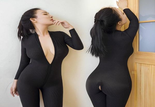 whole black striped sheer bodystocking lingerie for women open crotch thermal sheer bodysuit crotchless double zipper lon3482596
whole black striped sheer bodystocking lingerie for women open crotch thermal sheer bodysuit crotchless double zipper lon3482596