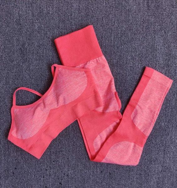 10sets whole bulk seamless yoga set fitness clothing sportswear women gym leggings tights sports bra 2pcs sports suits39775646678370
10sets whole bulk seamless yoga set fitness clothing sportswear women gym leggings tights sports bra 2pcs sports suits39775646678370