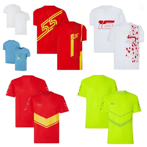 f1 team racing suit fashion plus size short sleeve new high-quality racing suit logo can be customized.
f1 team racing suit fashion plus size short sleeve new high-quality racing suit logo can be customized.