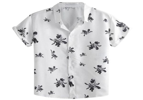 2020 men shirt summer short sleeve printing blouse casual slim fit hawaiian shirts camisa masculina chemise homme shirt men2739670, White;black
2020 men shirt summer short sleeve printing blouse casual slim fit hawaiian shirts camisa masculina chemise homme shirt men2739670, White;black