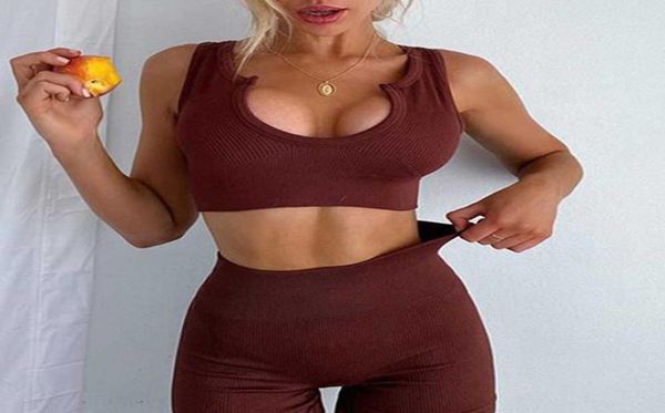 yoga outfits women sportwear workout yoga set gym seamless fitness clothing sport outfit for woman sports bra leggings suit female3356353, White;red
yoga outfits women sportwear workout yoga set gym seamless fitness clothing sport outfit for woman sports bra leggings suit female3356353, White;red