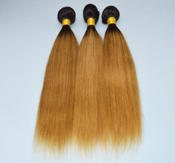 oc 905 brazilian human virgin hair straight gradient color 1b 27brown pochette felicie wigs long hair curtain 78017309315320, Black
oc 905 brazilian human virgin hair straight gradient color 1b 27brown pochette felicie wigs long hair curtain 78017309315320, Black