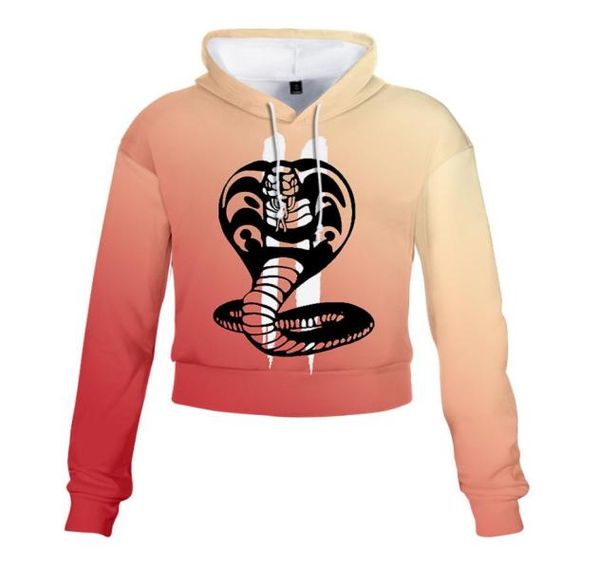 karate kid cobra kai crop hoodie harajuku cropped sweatshirt streetwear hip hop long sleeves pullover sudaderas mujer8362372, Black
karate kid cobra kai crop hoodie harajuku cropped sweatshirt streetwear hip hop long sleeves pullover sudaderas mujer8362372, Black