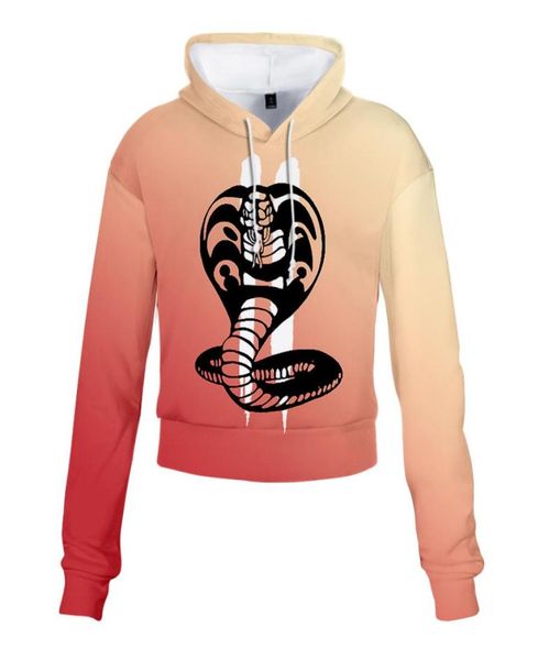 karate kid cobra kai crop hoodie harajuku cropped sweatshirt streetwear hip hop long sleeves pullover sudaderas mujer9926233, Black
karate kid cobra kai crop hoodie harajuku cropped sweatshirt streetwear hip hop long sleeves pullover sudaderas mujer9926233, Black