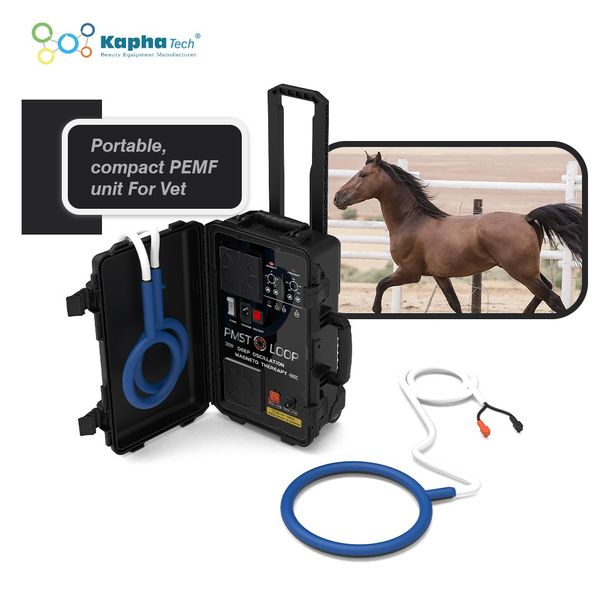 magnawave pemf therapy equine veterinary care pmst loop magna wave machine for animals physiotherapy
magnawave pemf therapy equine veterinary care pmst loop magna wave machine for animals physiotherapy