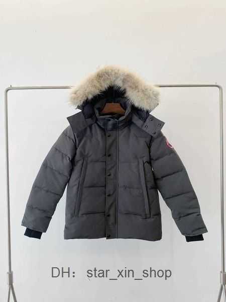 down jackets jacket canda goose men's parkers winter warm coats female 5 bcpf, Black
down jackets jacket canda goose men's parkers winter warm coats female 5 bcpf, Black
