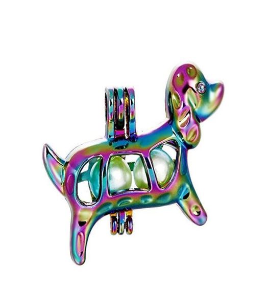 rainbow colored puppy dog pearl cage jewelry making beads cage pendant essential oil diffuser aroma locket for oyster pearl c812164974, Silver
rainbow colored puppy dog pearl cage jewelry making beads cage pendant essential oil diffuser aroma locket for oyster pearl c812164974, Silver