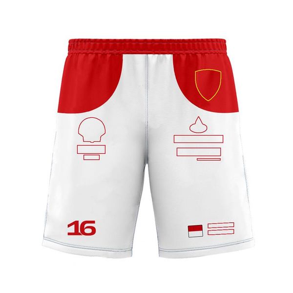summer f1 team shorts men's red racing shorts outdoor sports pants beach casual pants
summer f1 team shorts men's red racing shorts outdoor sports pants beach casual pants