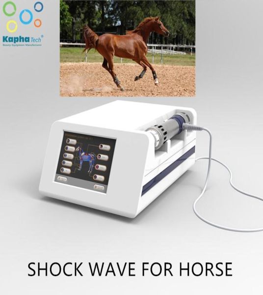 mobile shockwave therapy machine shock wave therapy equipment piezowave for vet pet horses dog cat farm animal8415203
mobile shockwave therapy machine shock wave therapy equipment piezowave for vet pet horses dog cat farm animal8415203