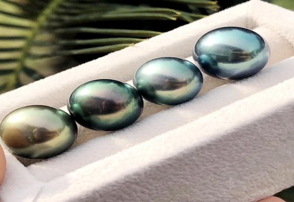 whole 910mm aaa round akoya natural seawater tahiti pearl oyster black color for diy bracelet necklace ring holiday gift7049877, White
whole 910mm aaa round akoya natural seawater tahiti pearl oyster black color for diy bracelet necklace ring holiday gift7049877, White