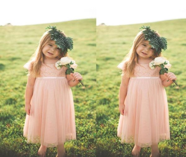 country style 2017 blush pink lace and chiffon toddler flower girls dresses for weddings short sleeve tea length formal gown5815943, White;blue
country style 2017 blush pink lace and chiffon toddler flower girls dresses for weddings short sleeve tea length formal gown5815943, White;blue
