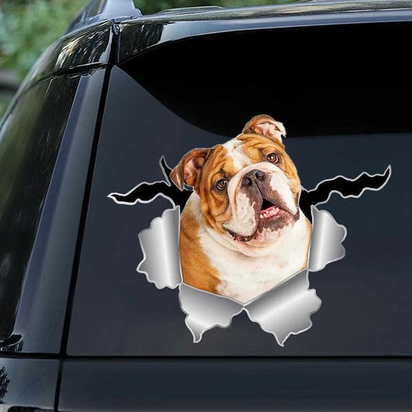stickers sticker english bulldog pet animal waterproof vinyl decal car accessories decor pegatinas para coche #v1389 r230812
stickers sticker english bulldog pet animal waterproof vinyl decal car accessories decor pegatinas para coche #v1389 r230812