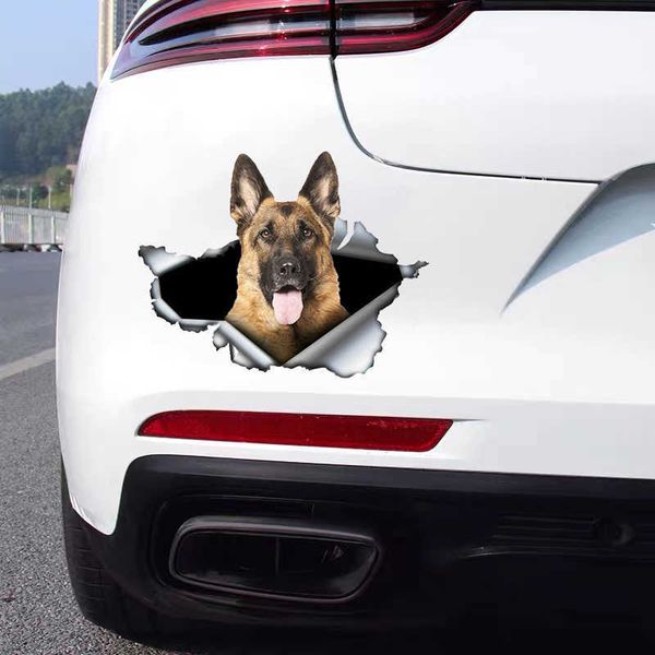 stickers b0134 self-adhesive 3d decal pet dog german shepherd car sticker waterproof auto decors on bumper rear window trolly case r230812
stickers b0134 self-adhesive 3d decal pet dog german shepherd car sticker waterproof auto decors on bumper rear window trolly case r230812