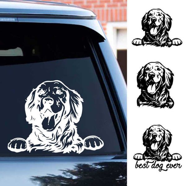 stickers golden retriever vinyl sticker car window door bumper decals dog lover gifts pet goldie paw decal for lapdecorative r230812
stickers golden retriever vinyl sticker car window door bumper decals dog lover gifts pet goldie paw decal for lapdecorative r230812